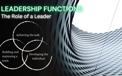 Promote Functional Leadership