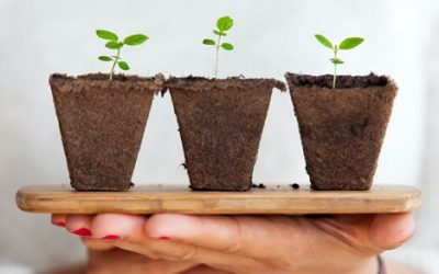 3 Tips for Business Growth