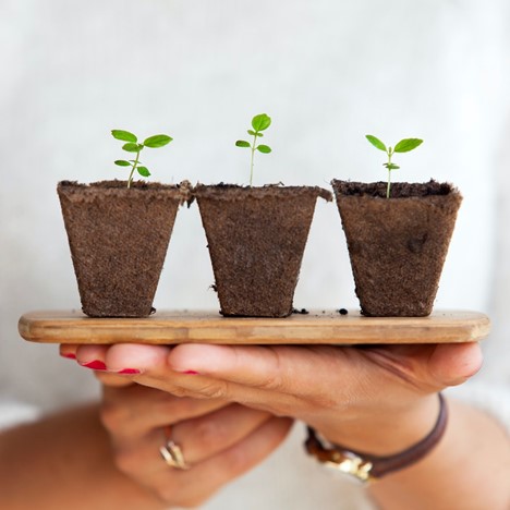 3 Tips for Business Growth