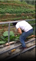 A person bending over a metal railing

Description automatically generated